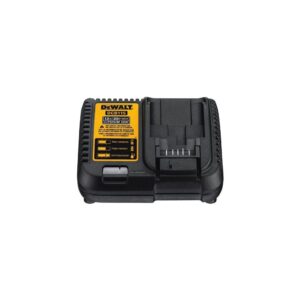 DEWALT 20V MAX Battery Adapter Kit, 18V to 20V, 2 Batteries and Charger Included (DCA2203C)